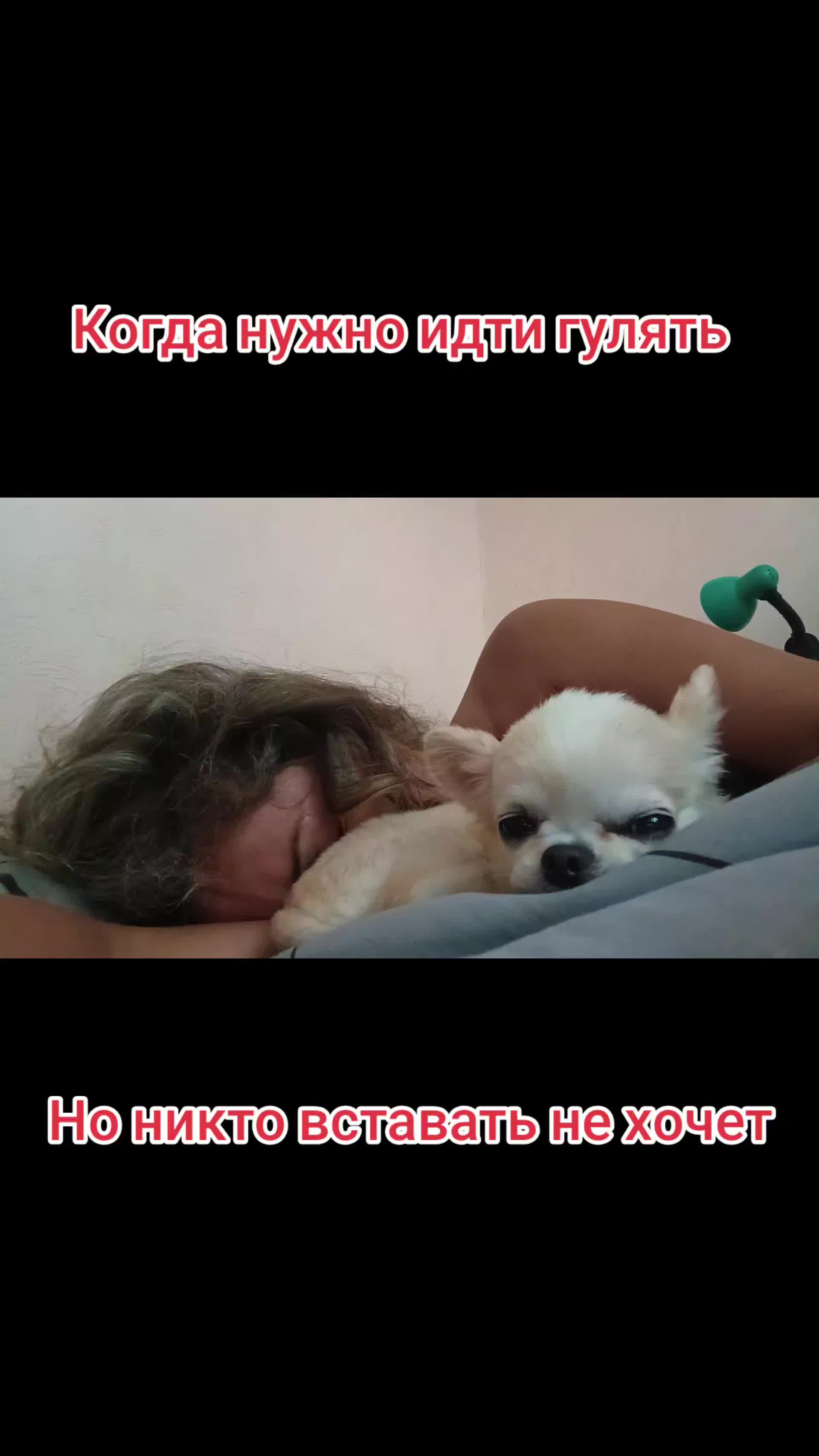 @MargaritaMarik