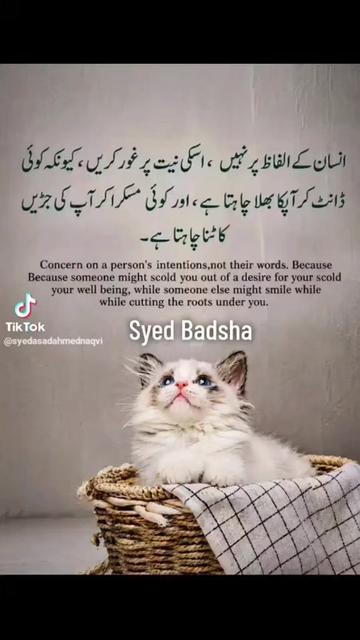 @sanam jatoi