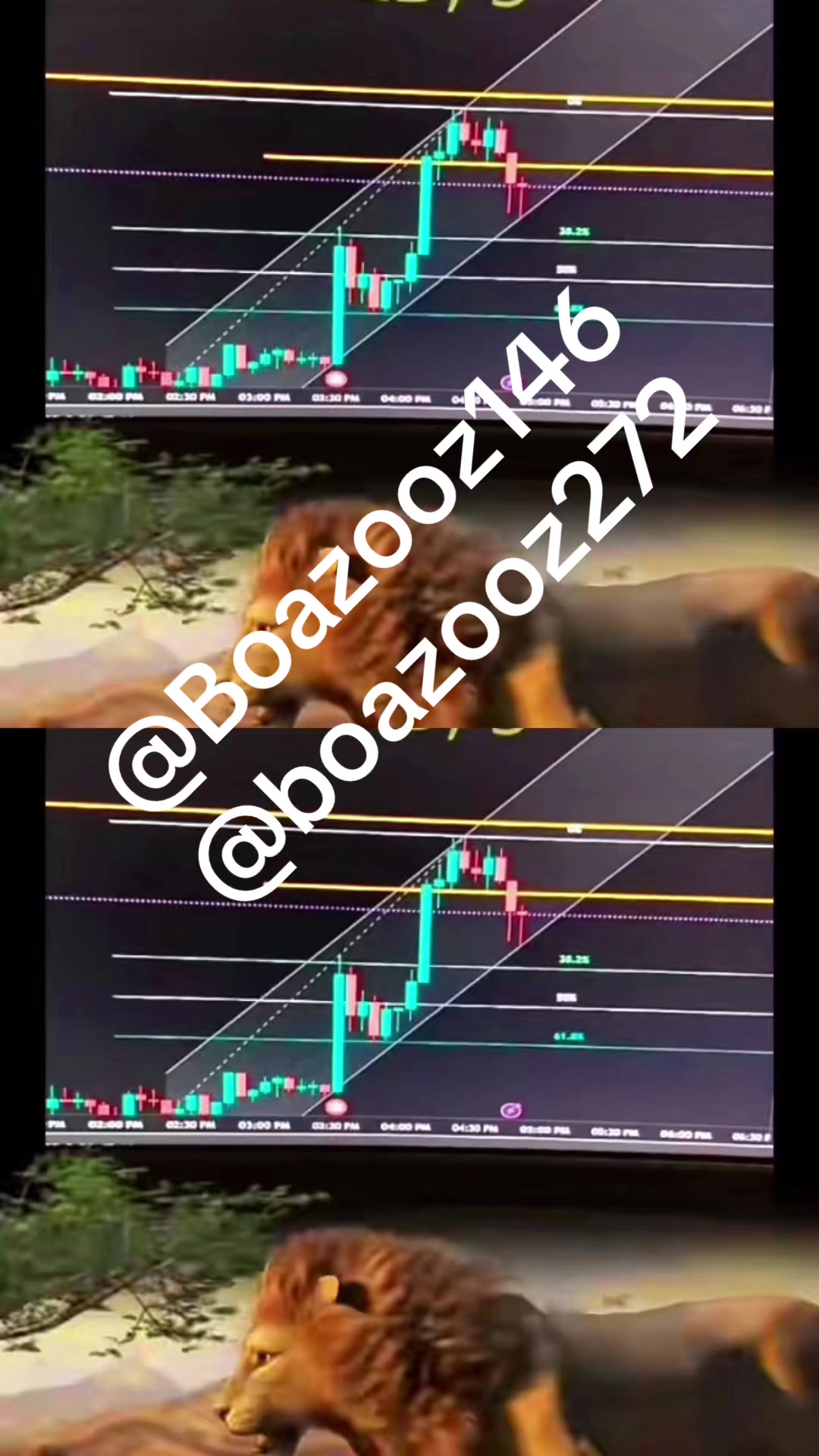 @@بوحظين_كومبني