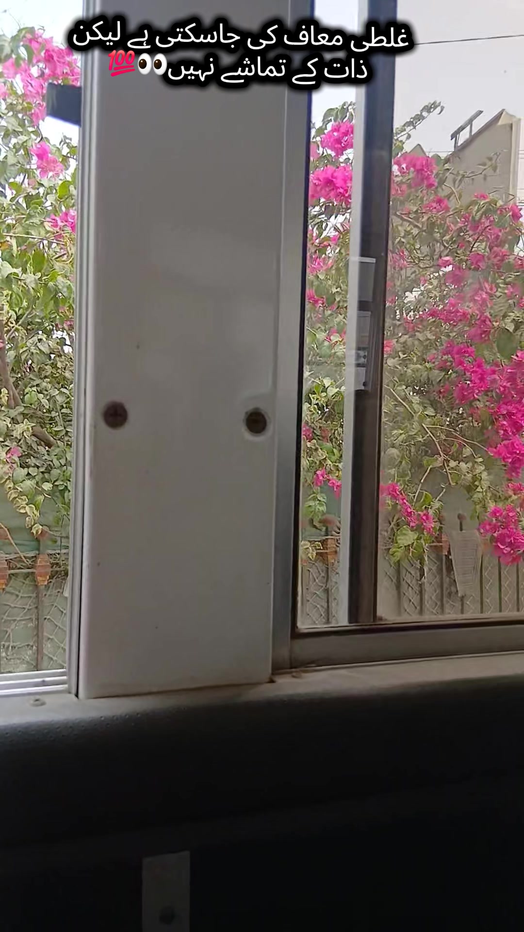 @ماہ نوراقبال🥀🍂✨️