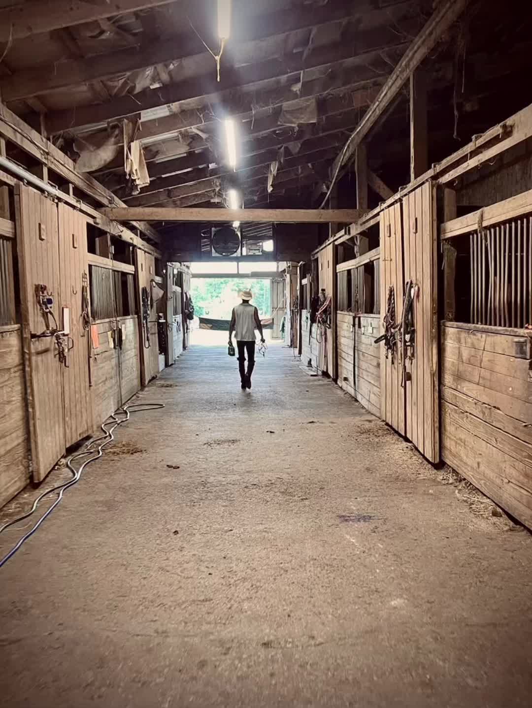 @mauragabauer
