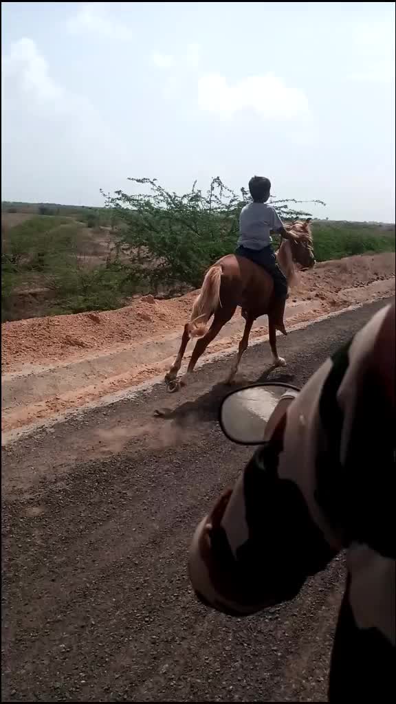 @s.h.sumra786