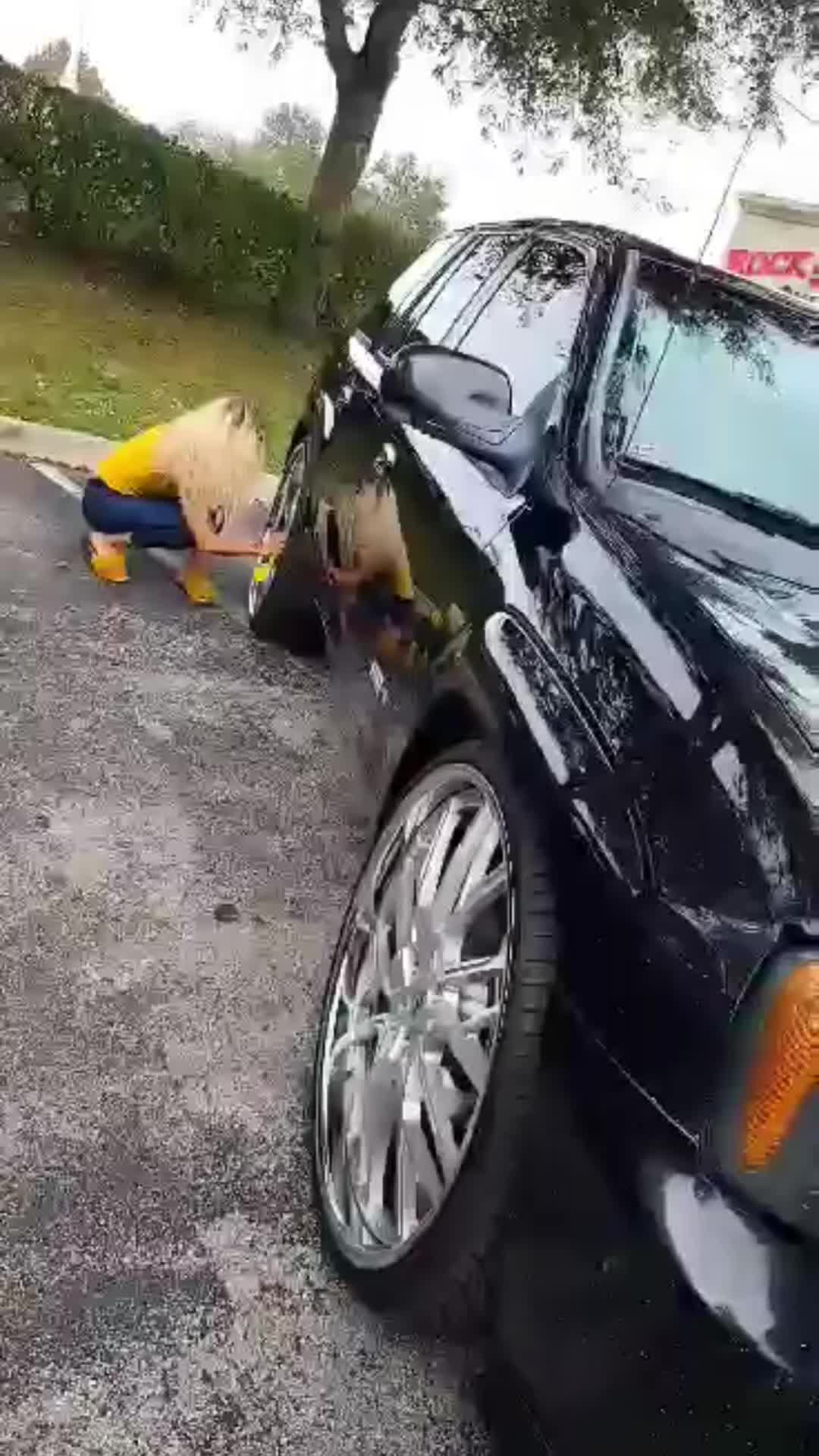 @SS_Britt