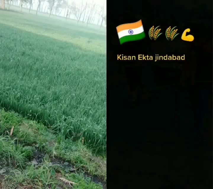 @Angrej_jhinjer