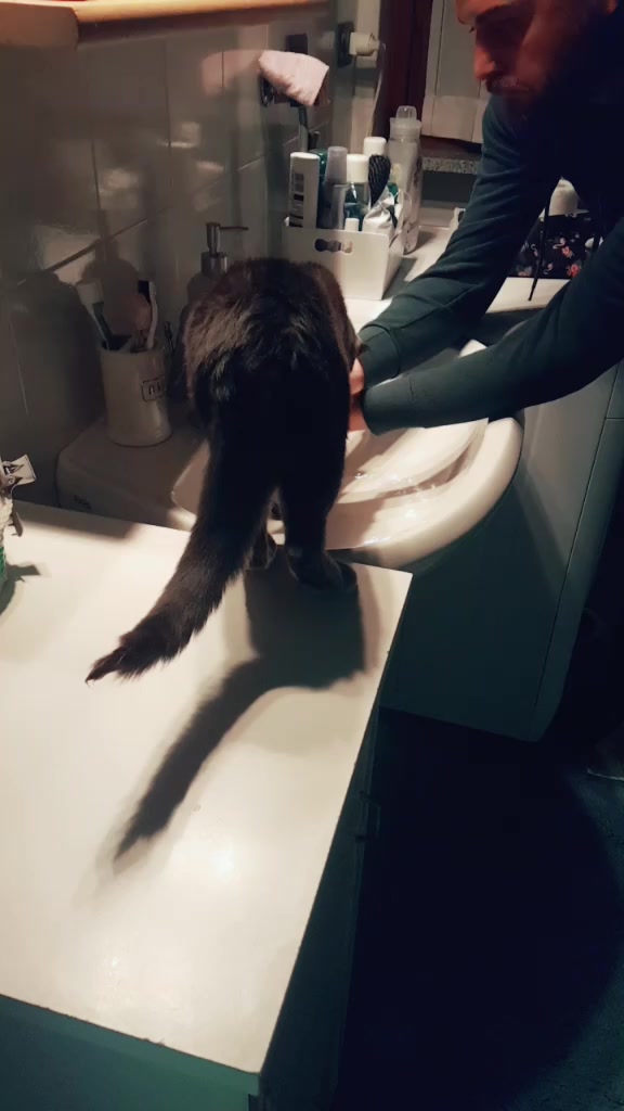 @Sara Auletta