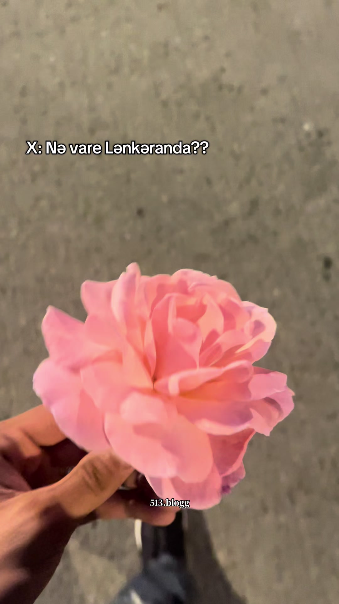 @Yuska 513