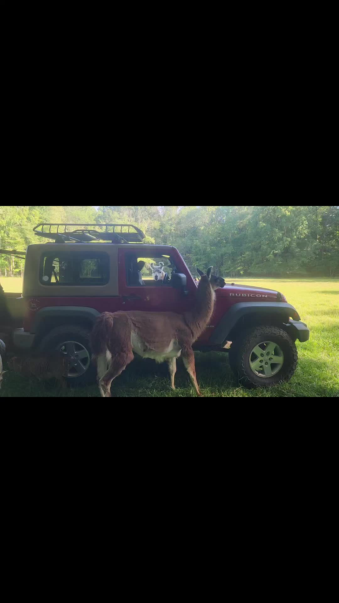 @MistythevLlamahowtos