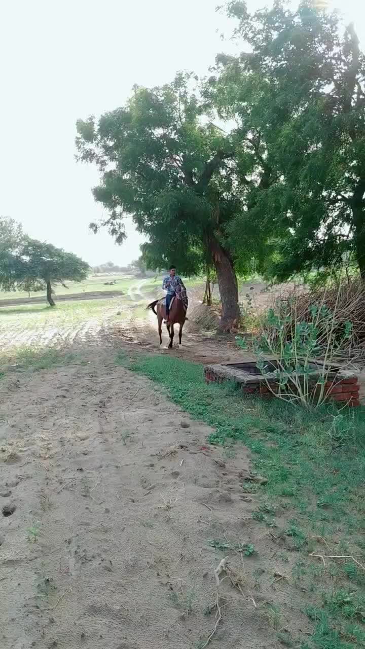@MUKESHRAJPUROHIT