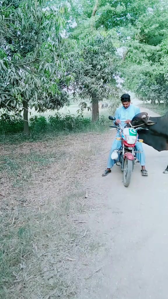 @Malik Bhai8423