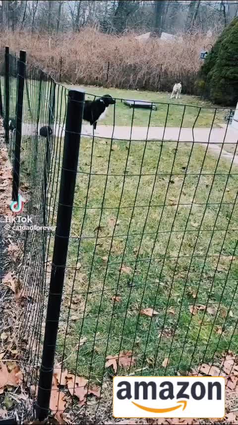 @RiCkJaMez24