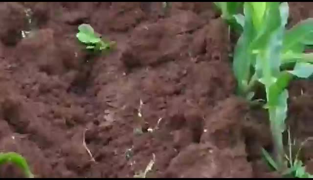 @shetkari mulga🌾🌾🌾