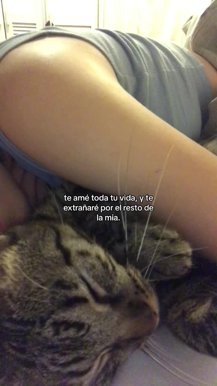 @Manny