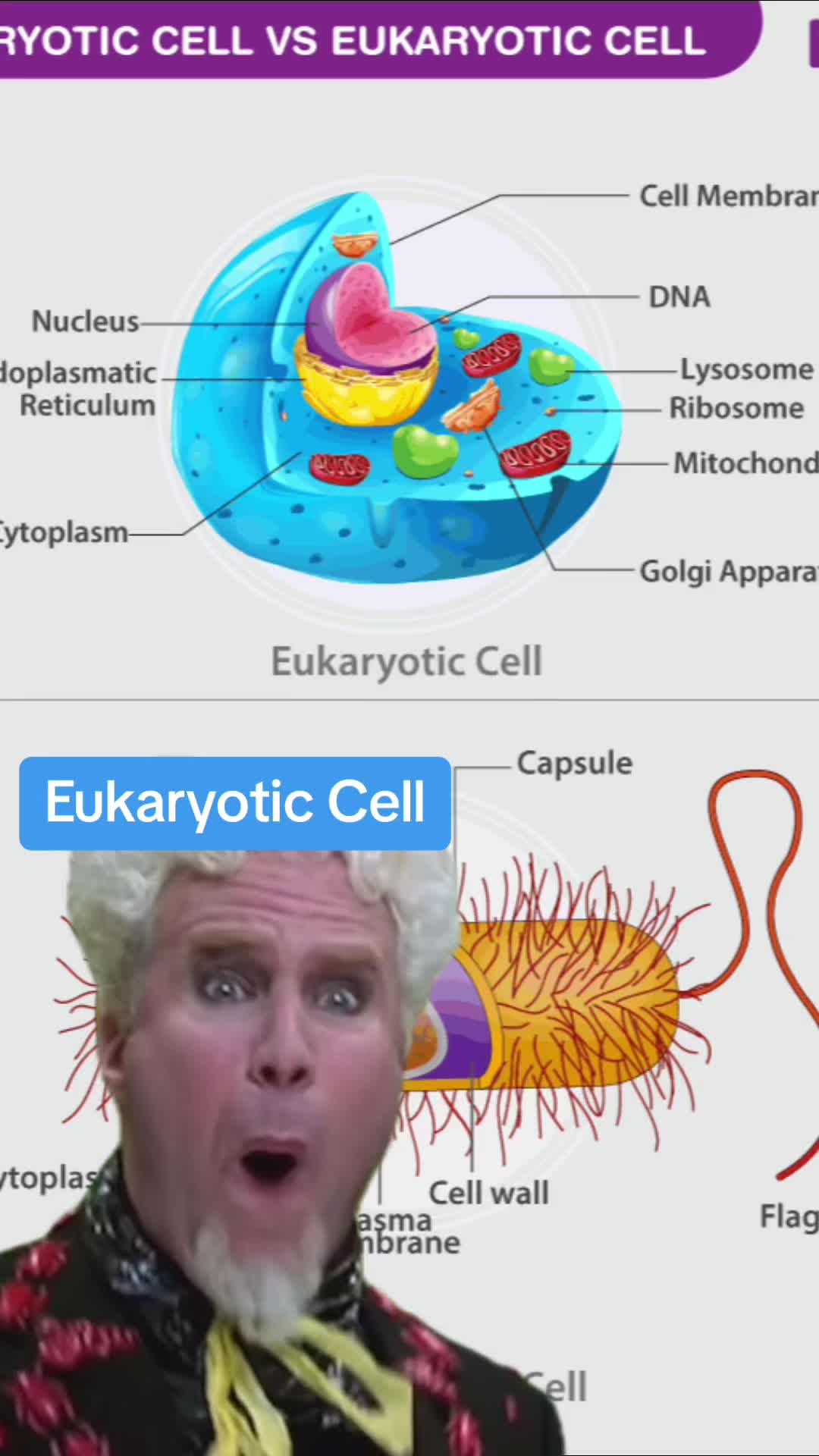 @GetAPBIOed