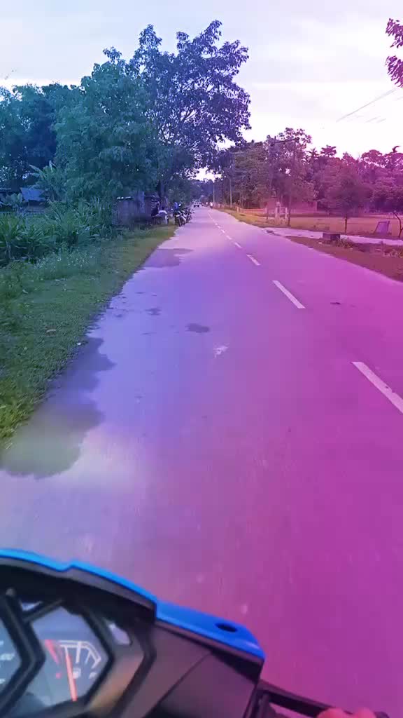@Risha Dutta