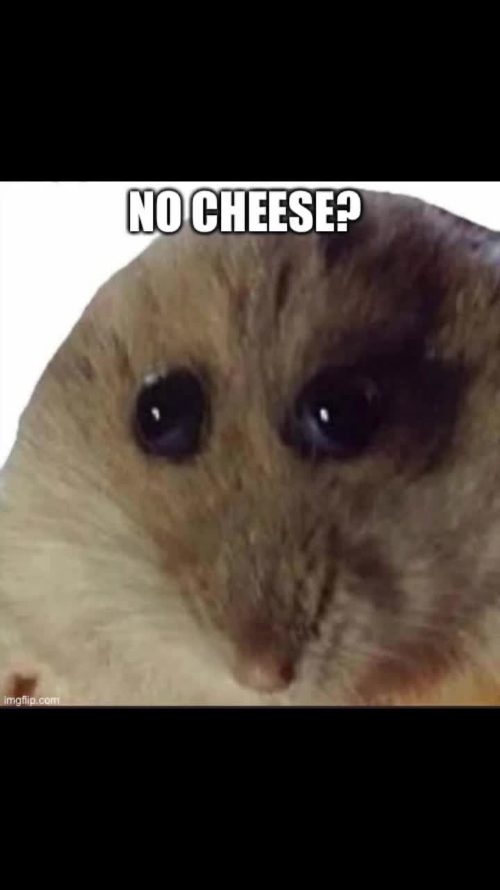 @Timmyturner301