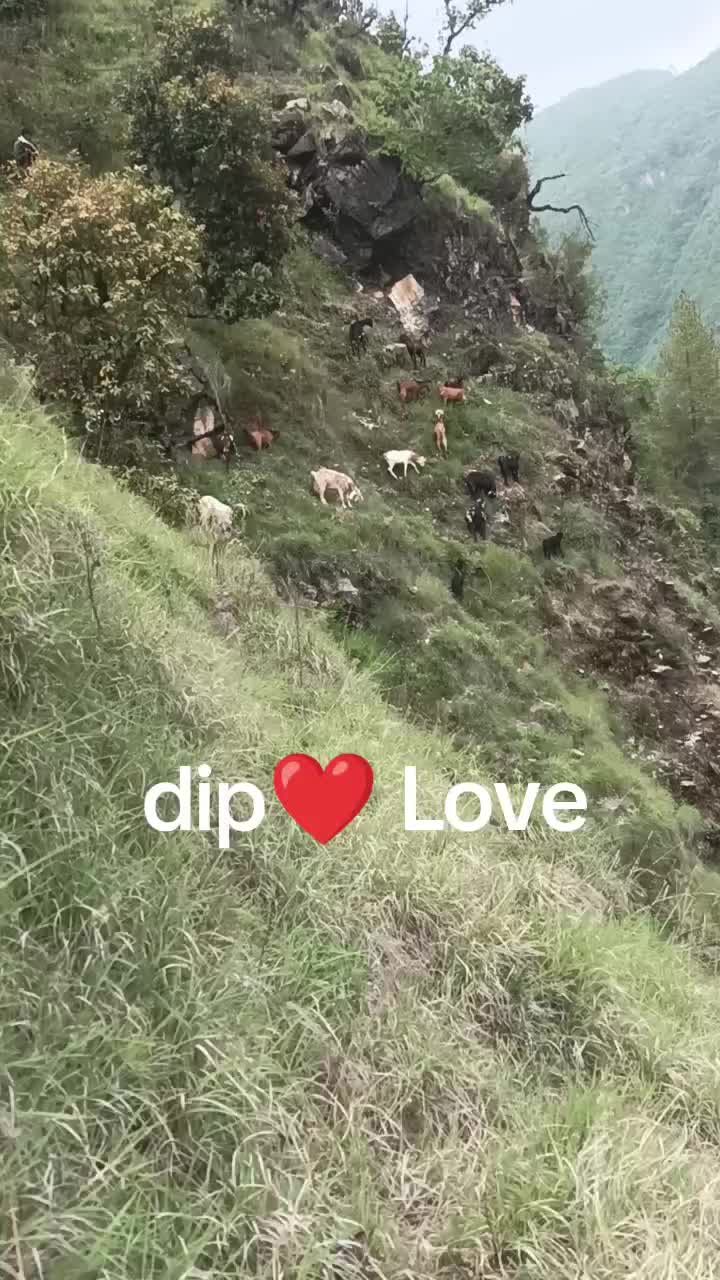 @dip❤ Love