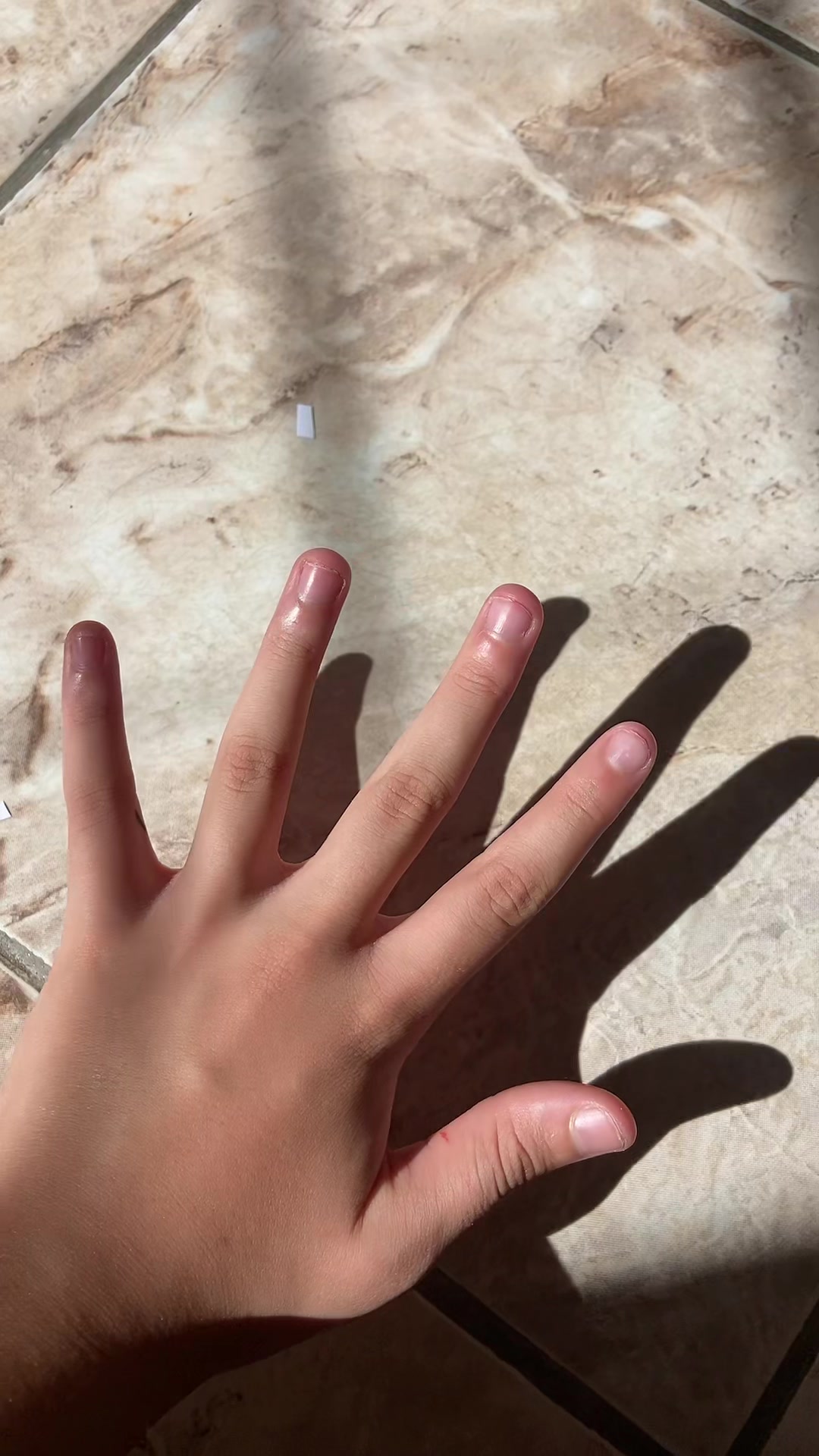 @Alice Françozo ✨