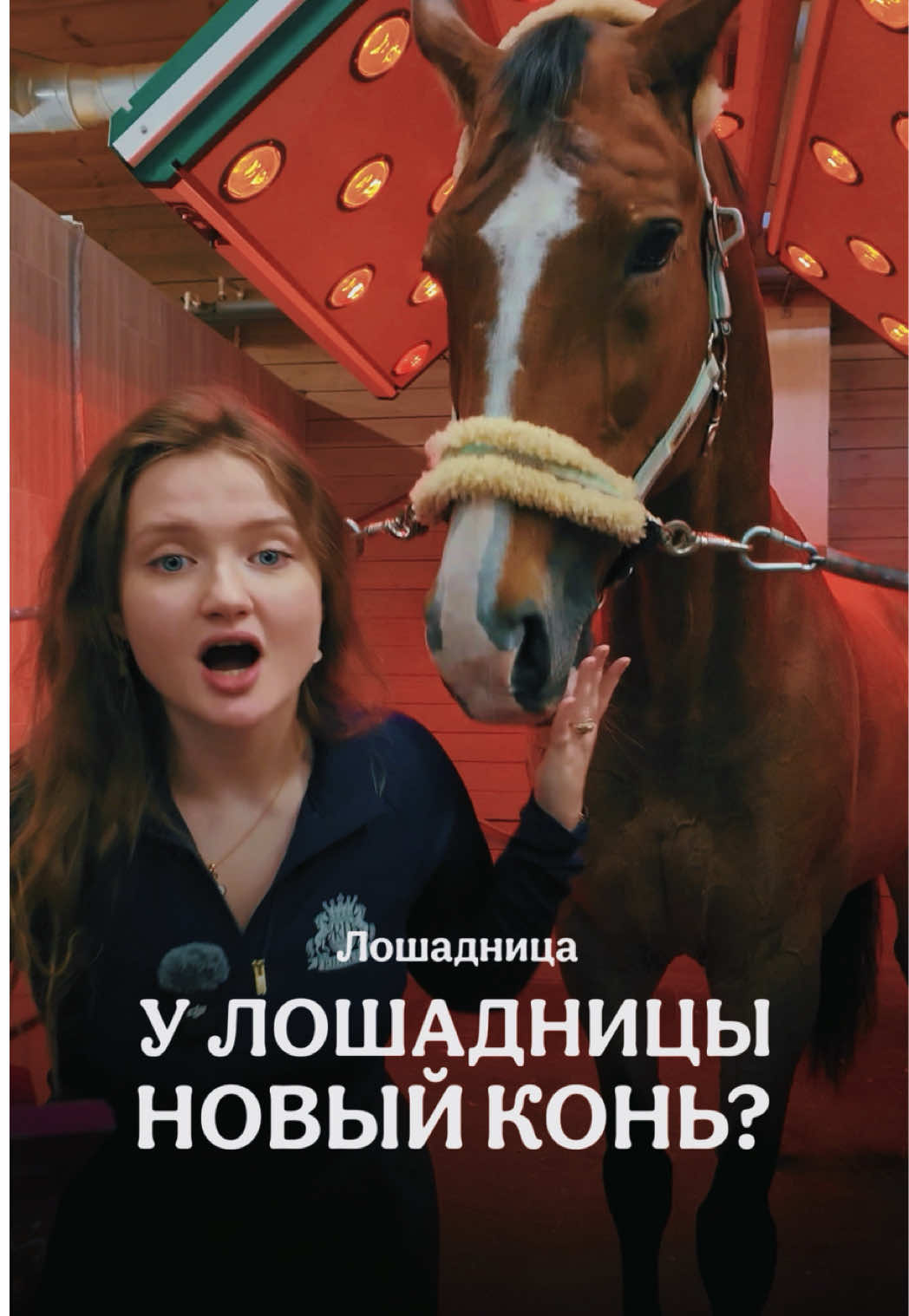 @Лошадница