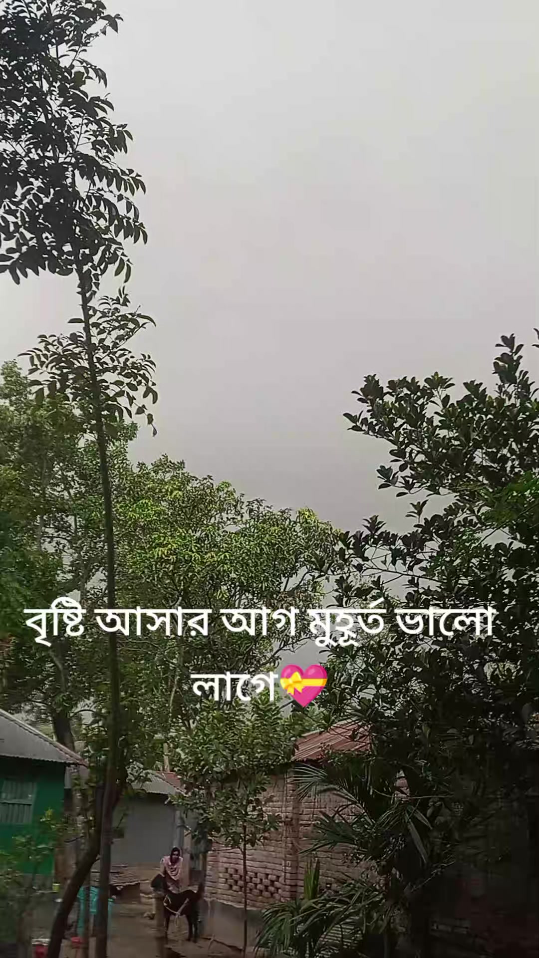 @Aminul Islam