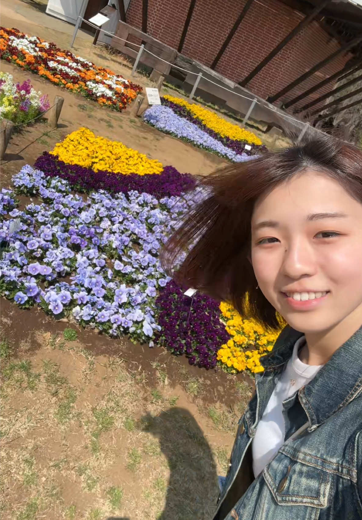 @吉本圭(20)