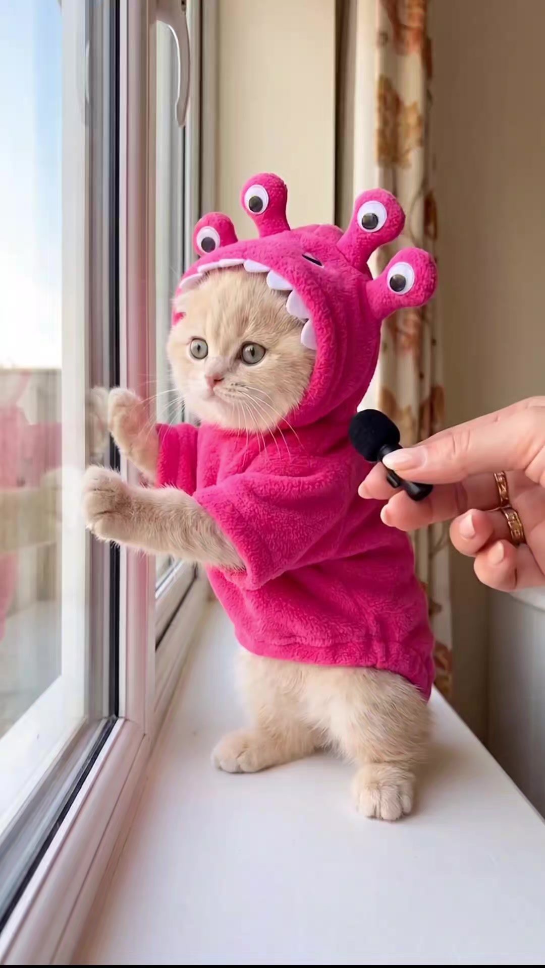 @Kiki
