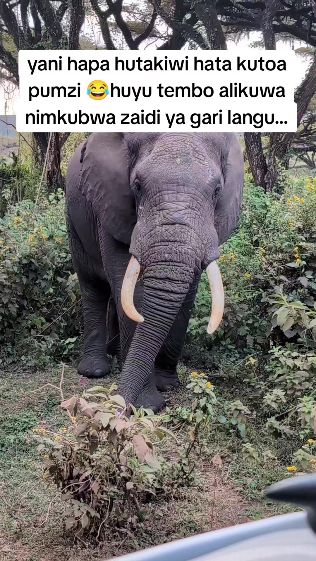 @𝕃𝕒𝕦𝕣𝕖𝕟𝕥 𝕤𝕒𝕞𝕚𝕝𝕒