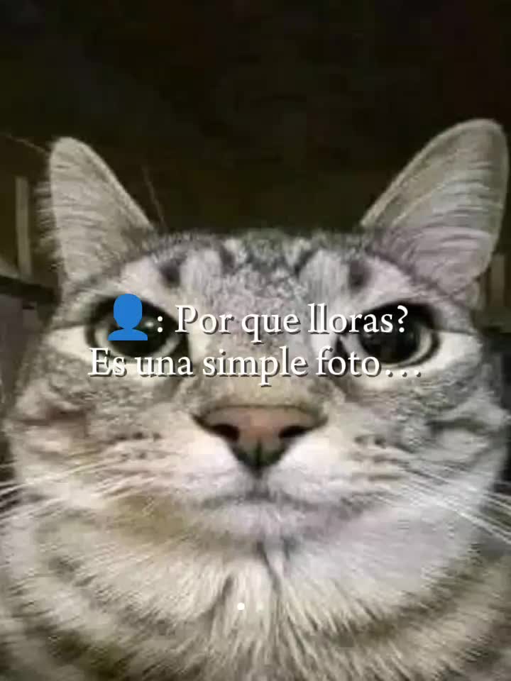 @Hugo😁
