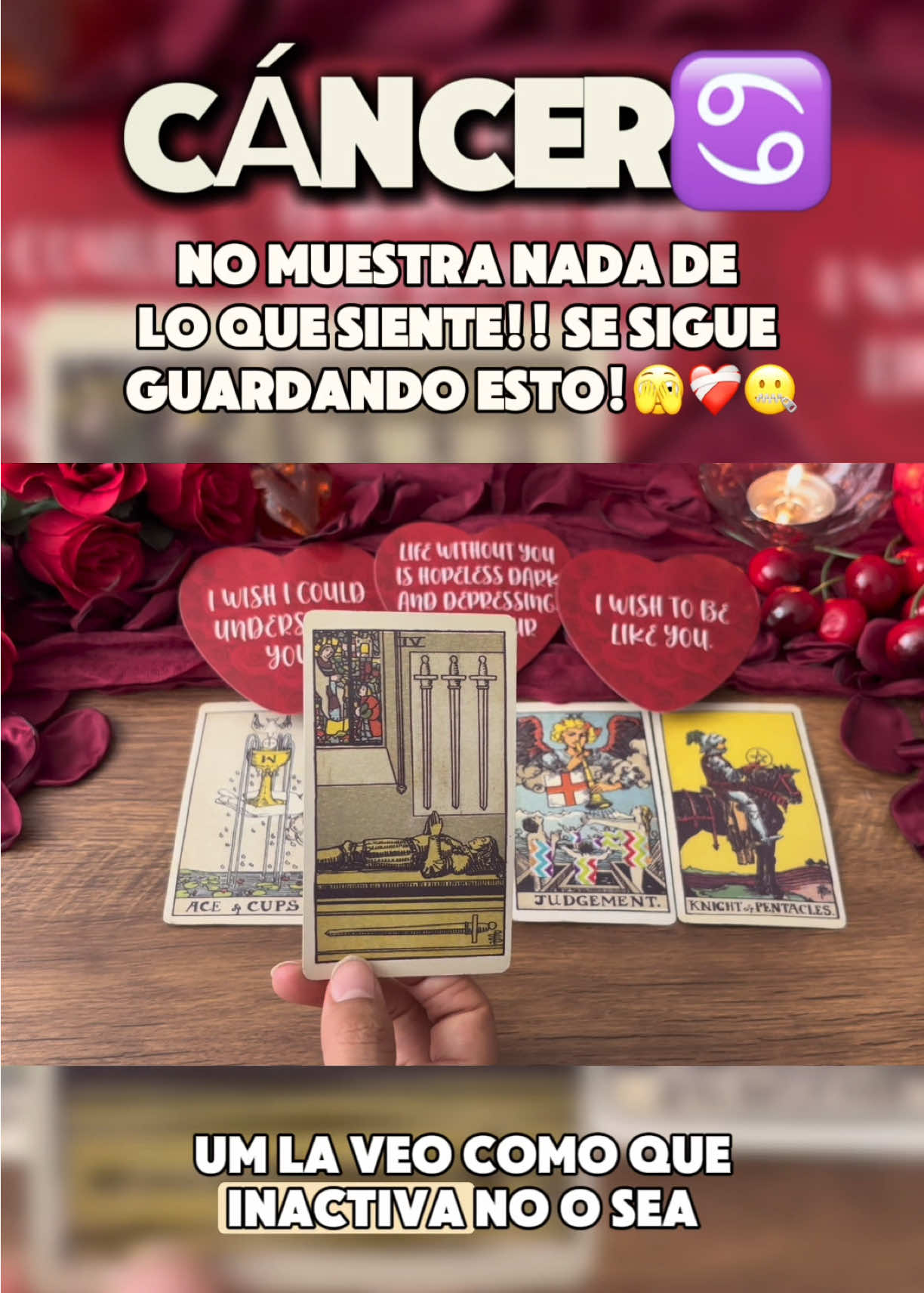 @Andy Sun Tarot ☀️