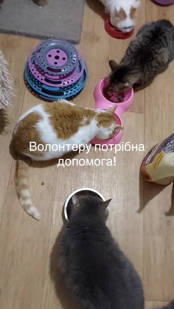 @Алиса