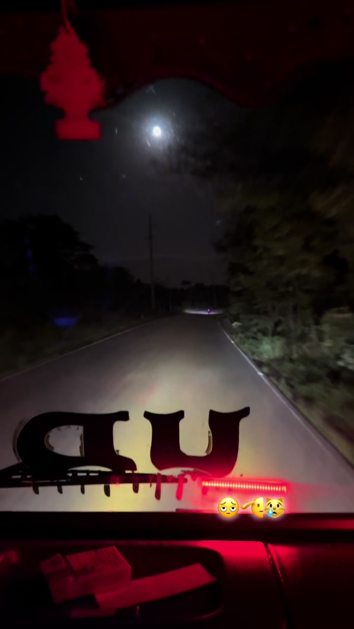 @Alexander 701 🗣️😼