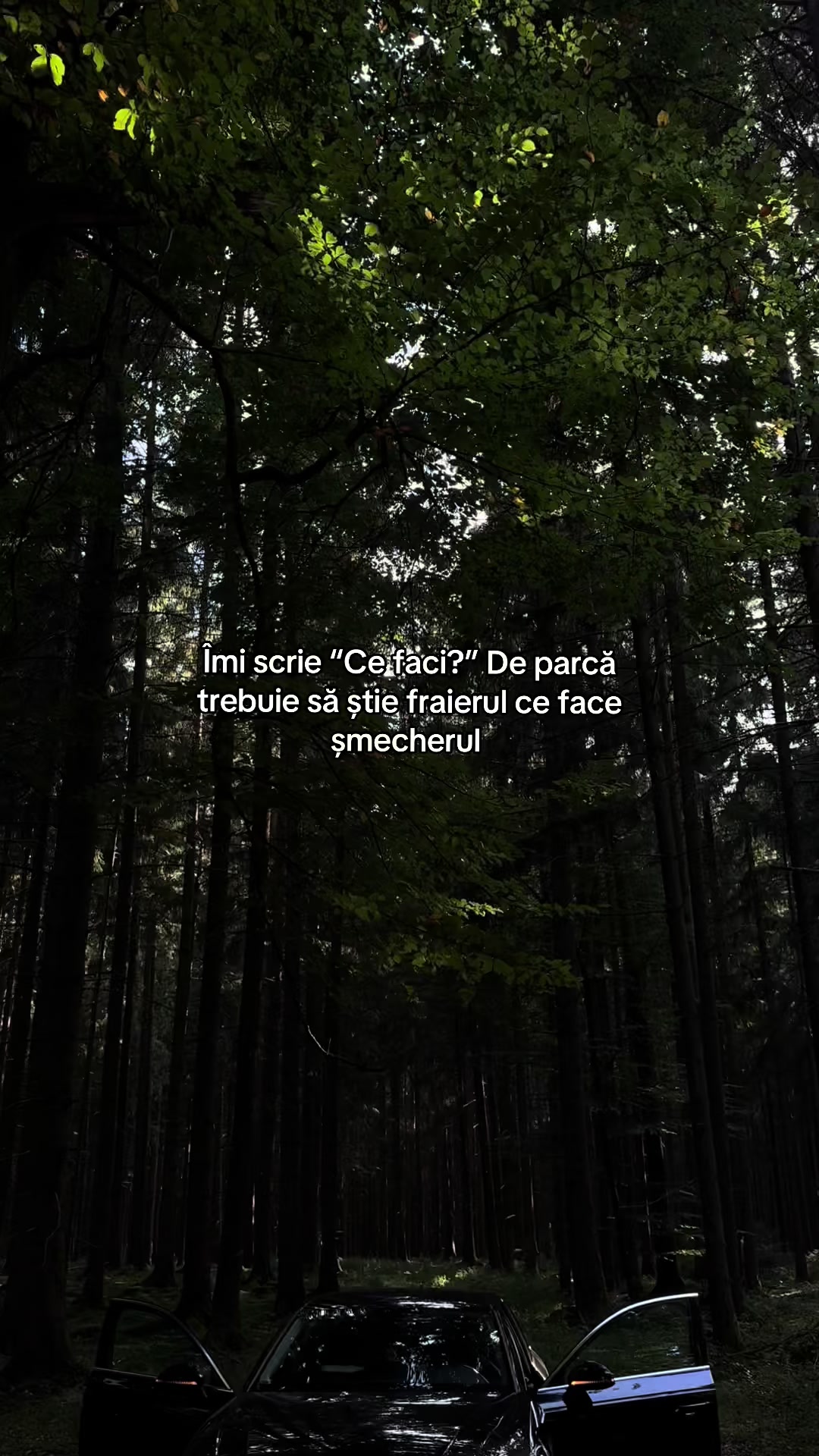@Valentin Dan