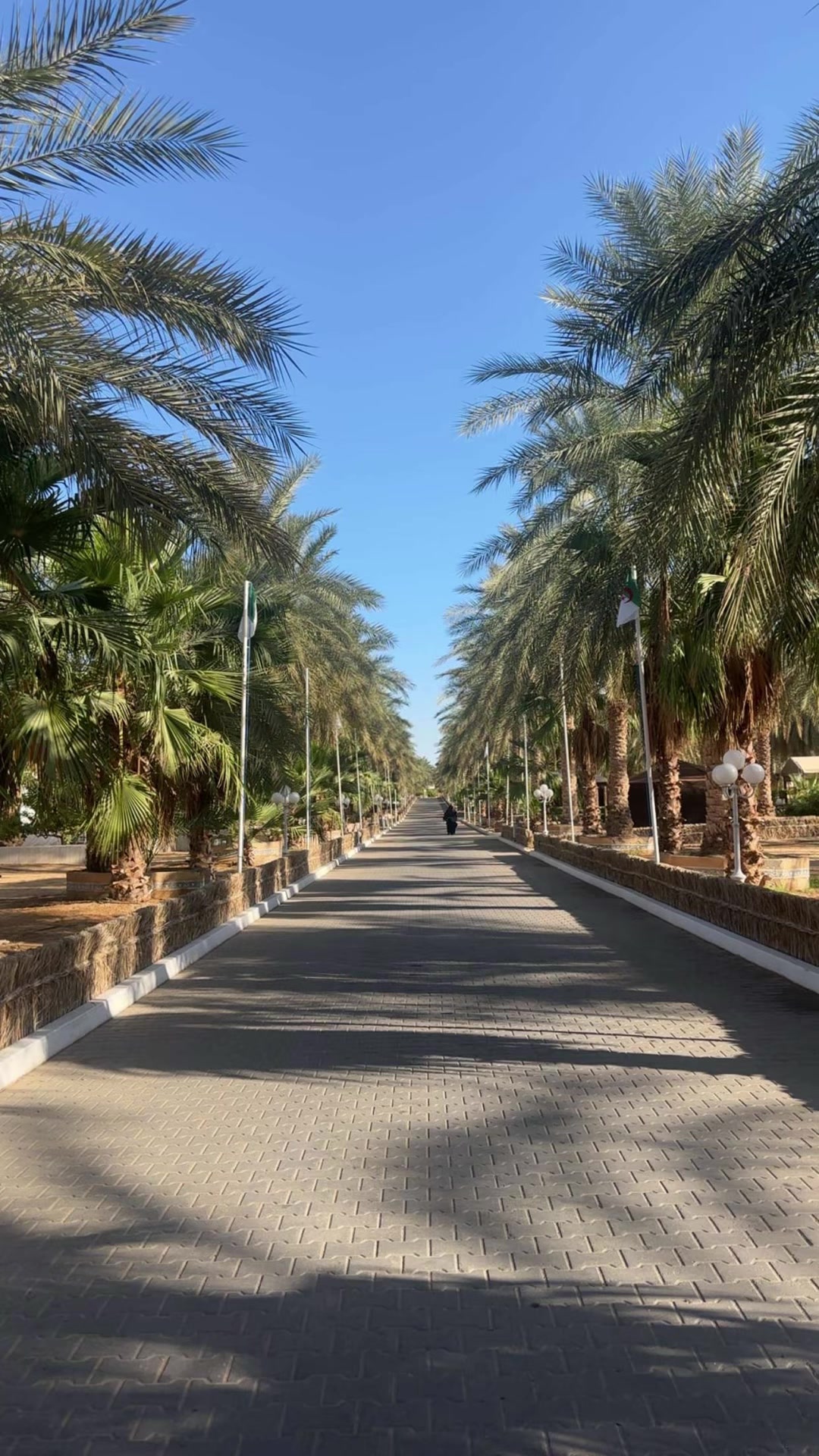 @Mina à Alger 🇩🇿