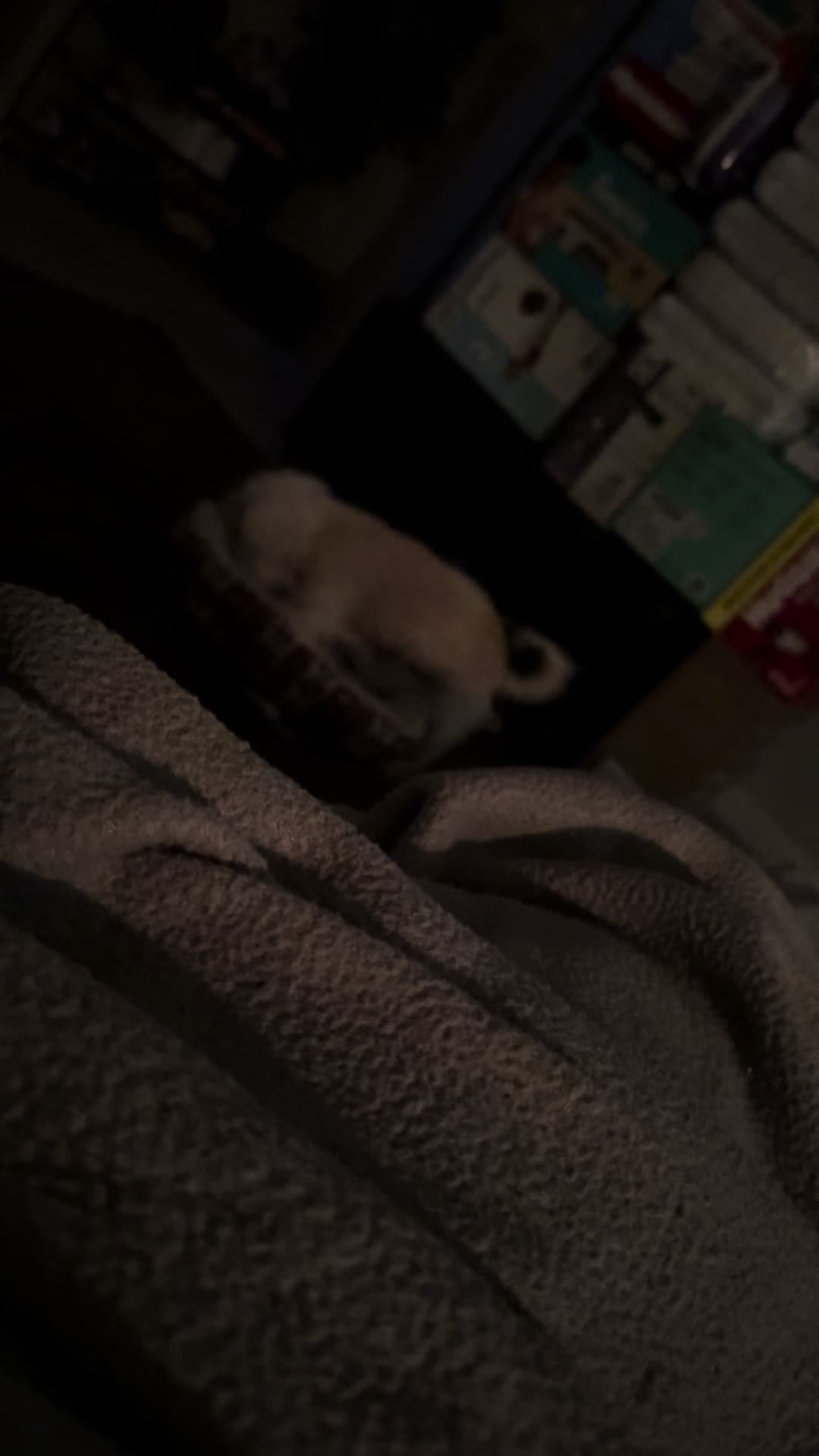 @GOODBOI ®