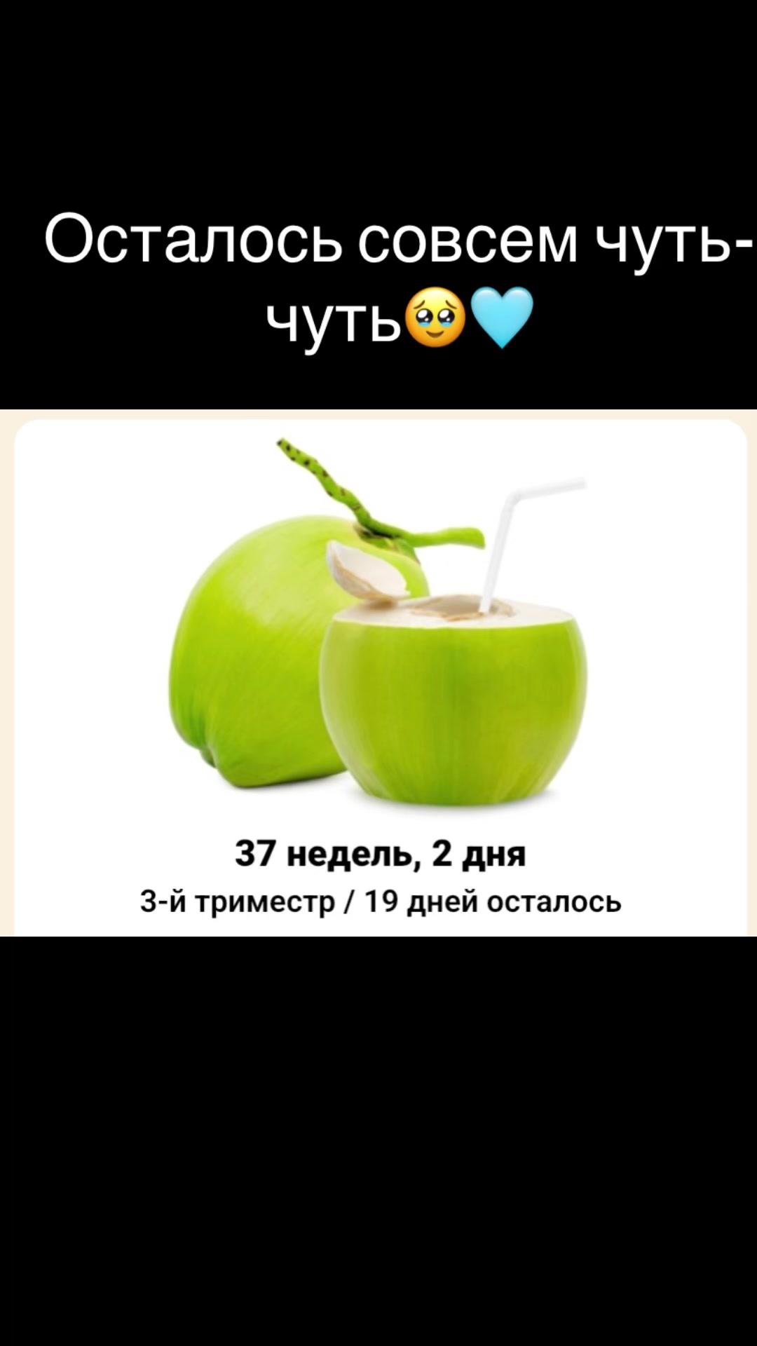 @𝐸𝓁𝑒𝓃𝒶 𝐵𝒶𝓈𝓀𝒶𝓀𝑜𝓋𝒶