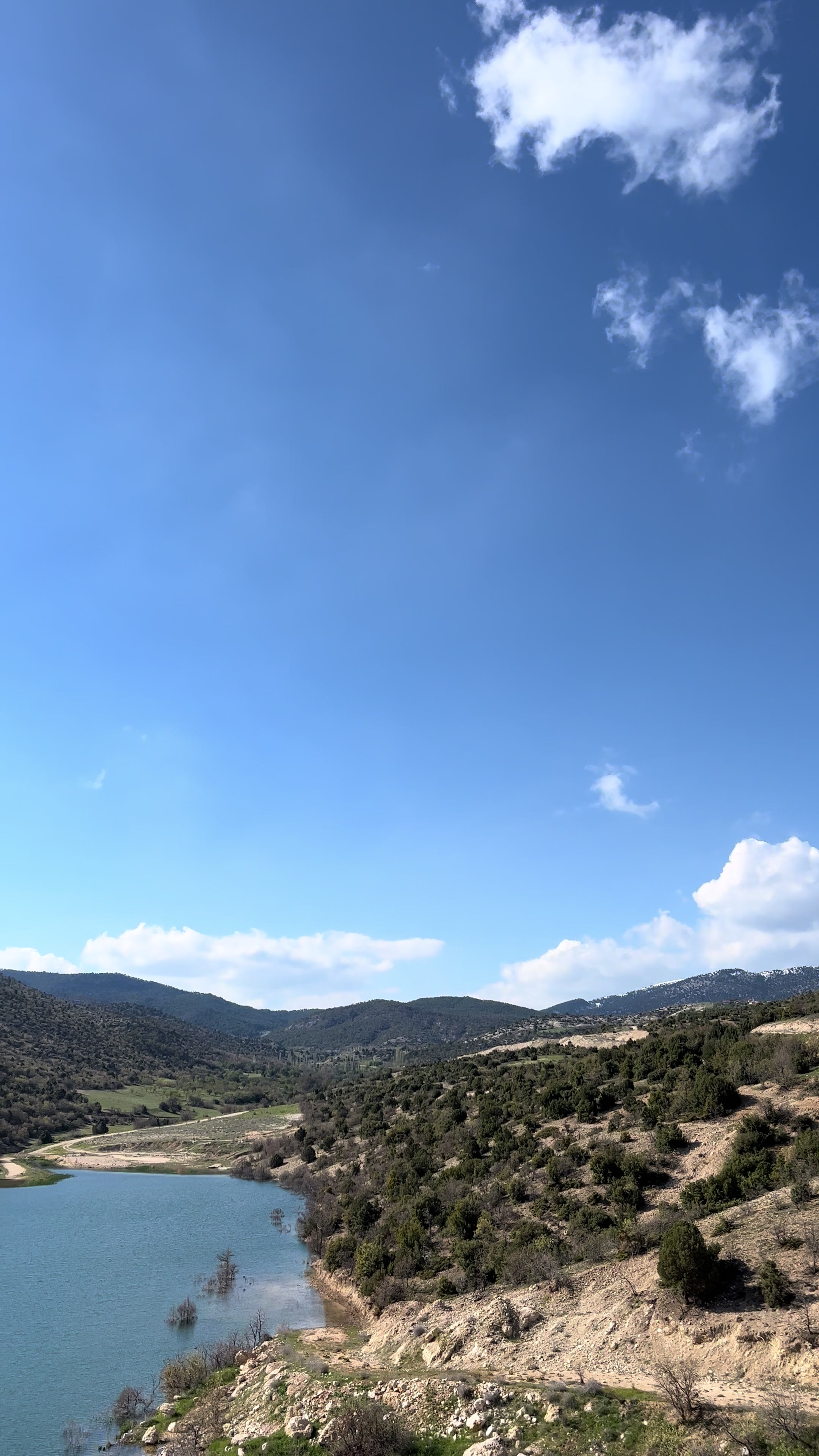 @kadişş