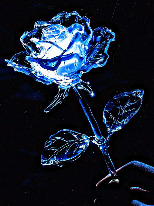 @♯ // Akiharu. ִֶָ.𓂃 ࣪ ִֶ