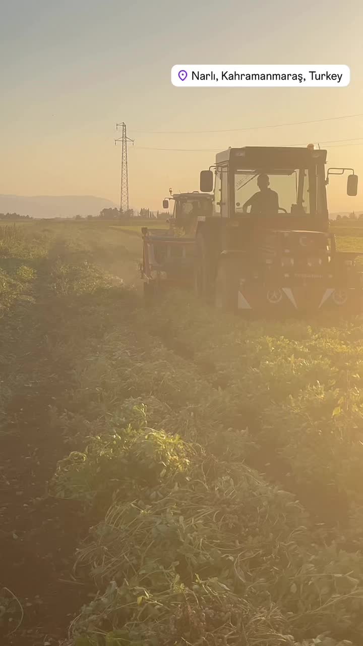 @ÖKSÜZ01🦅