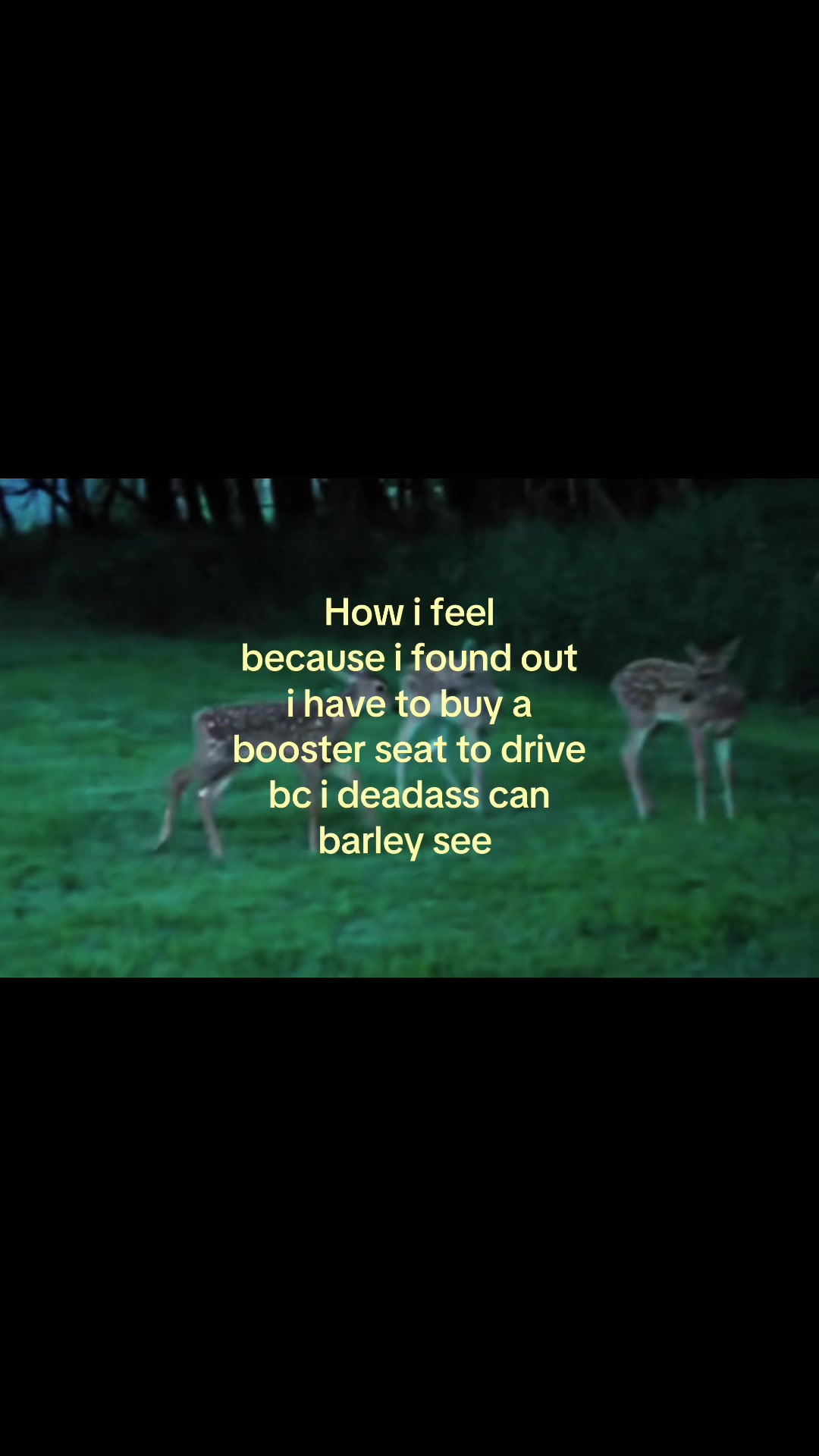 @Ty<3