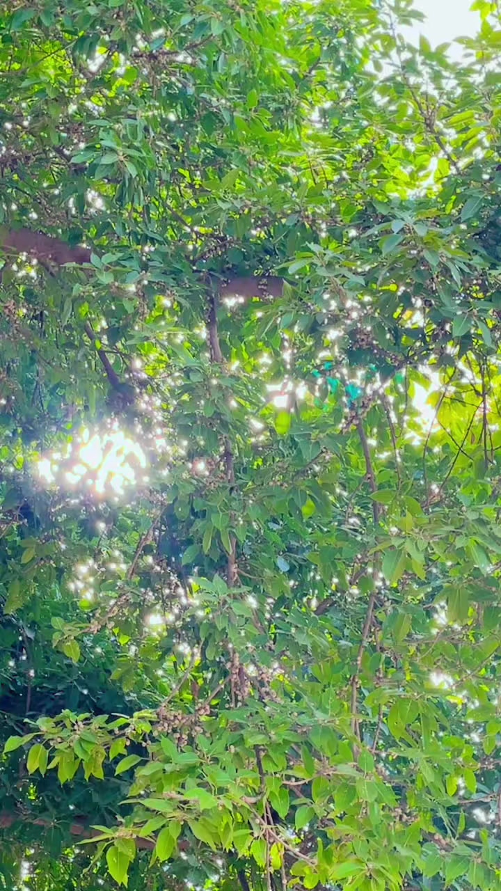 @AسAD جoyia 007