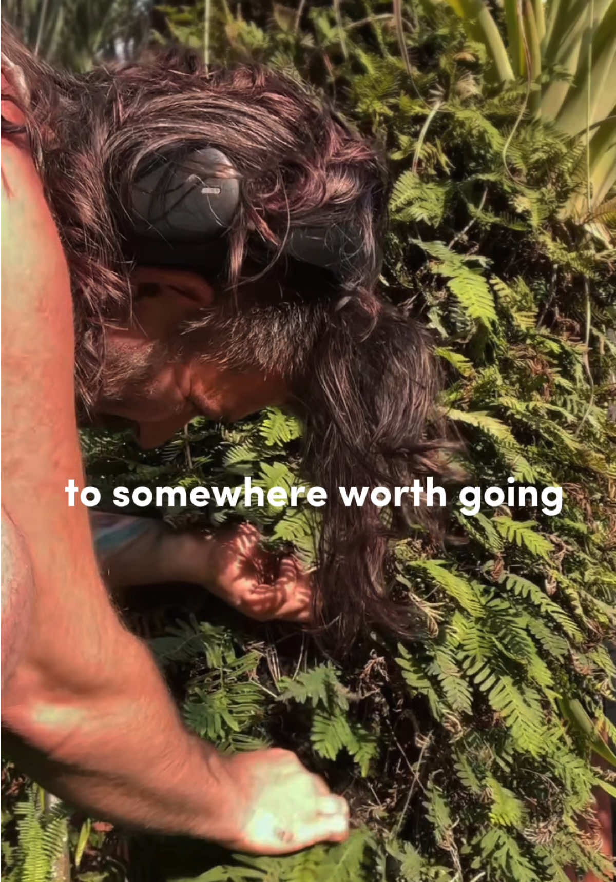 @bearfluence