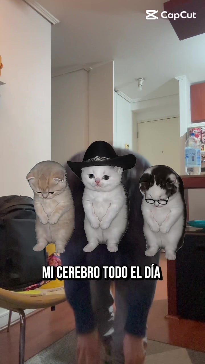 @catalina arevalo