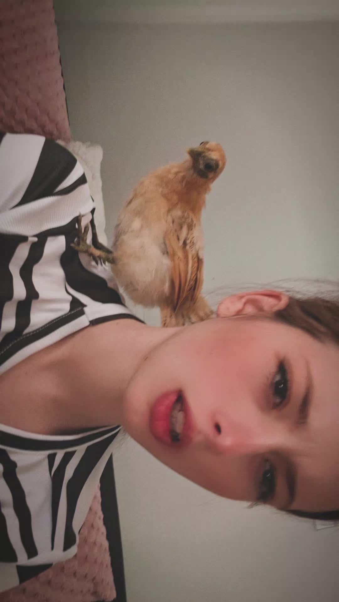 @𐙚🧸ྀི