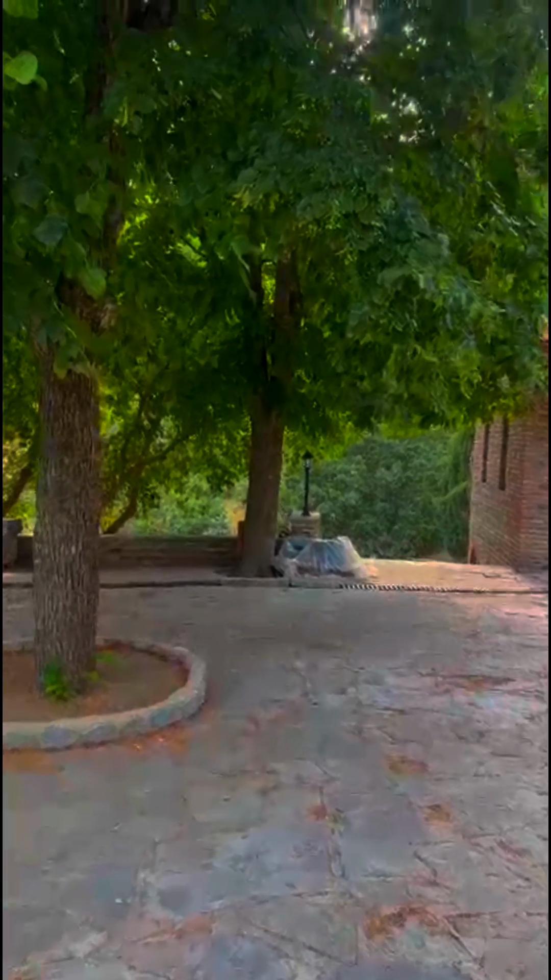@სოფო ნაცვლიშვილი