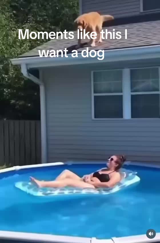 @account 17