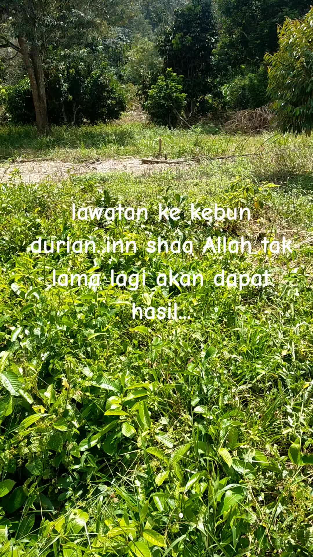 @Bro Izam