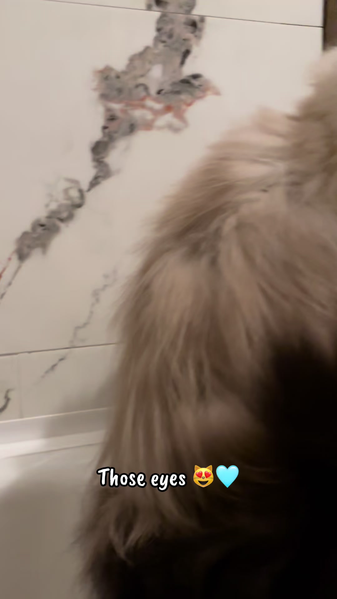 @Melissa’s9Lilfluffs
