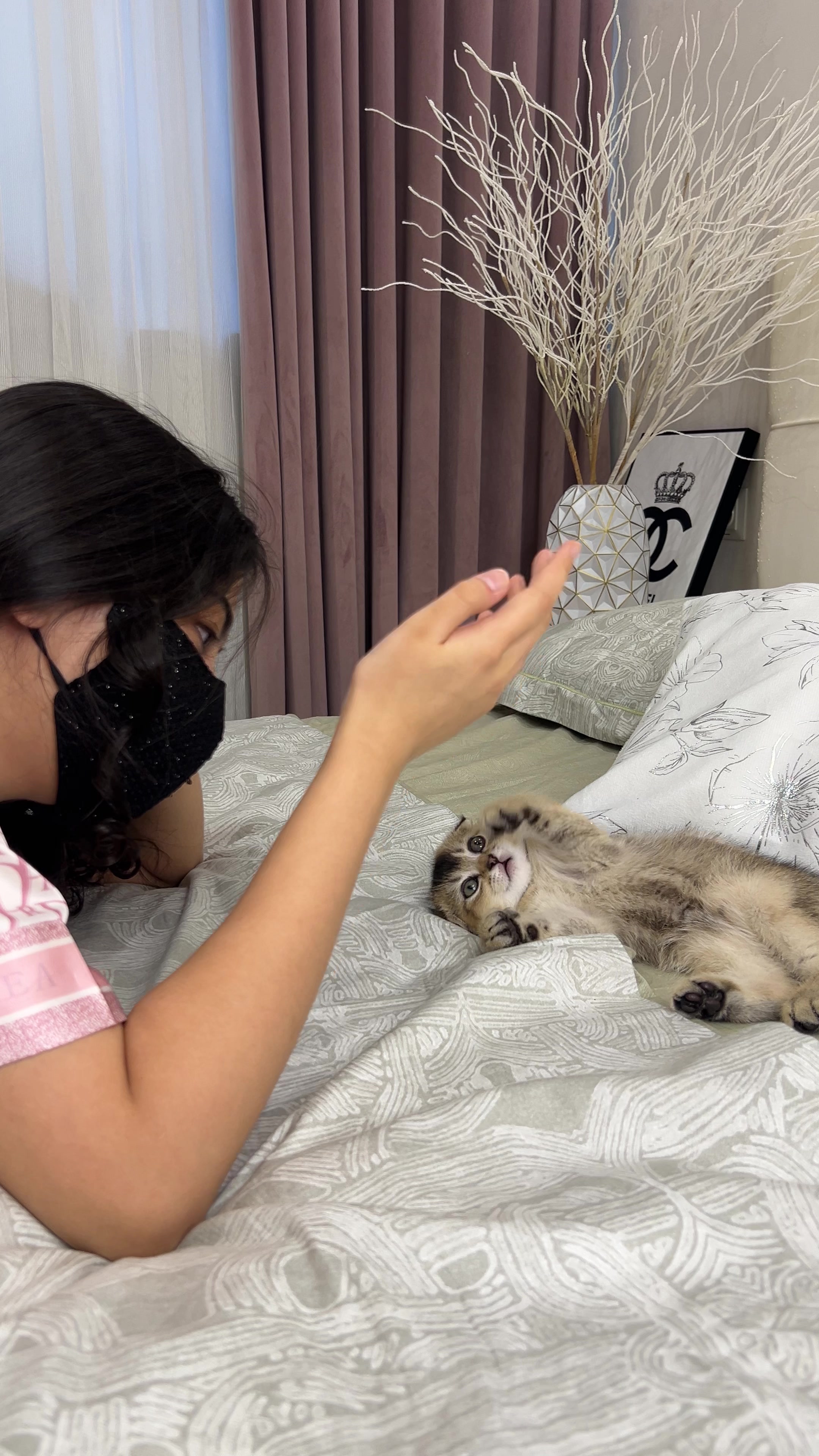 @kittens_uz