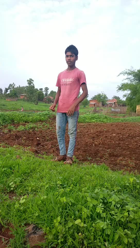 @vivekthorad