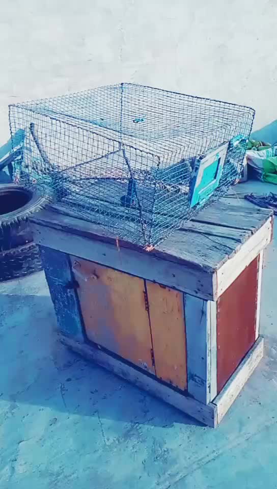 @user23871639834
