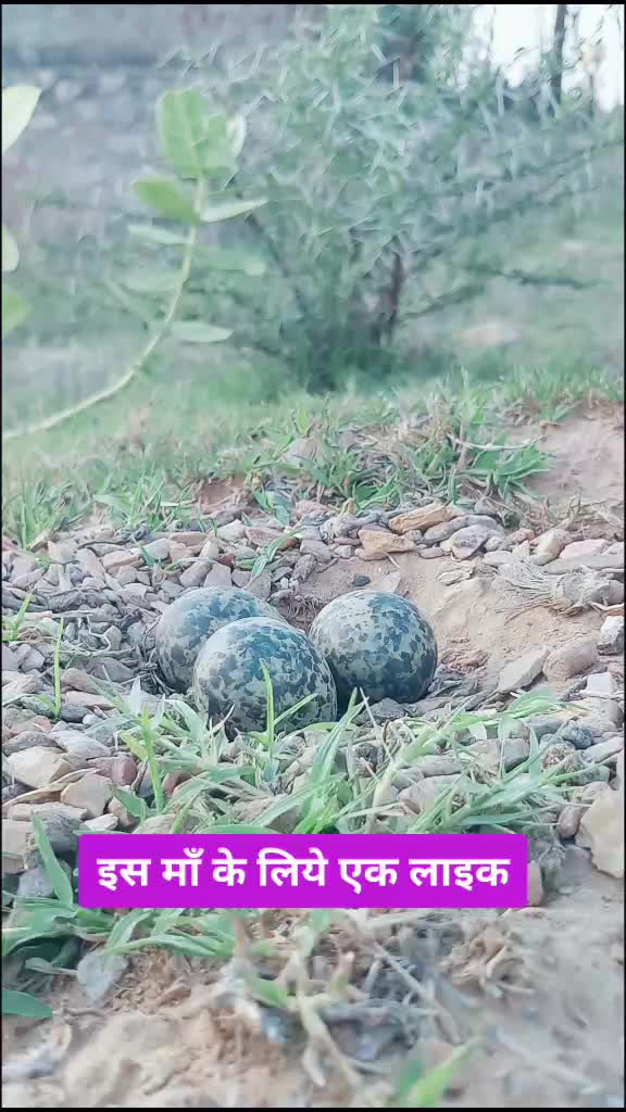 @Dheeraj Kumar Kharra